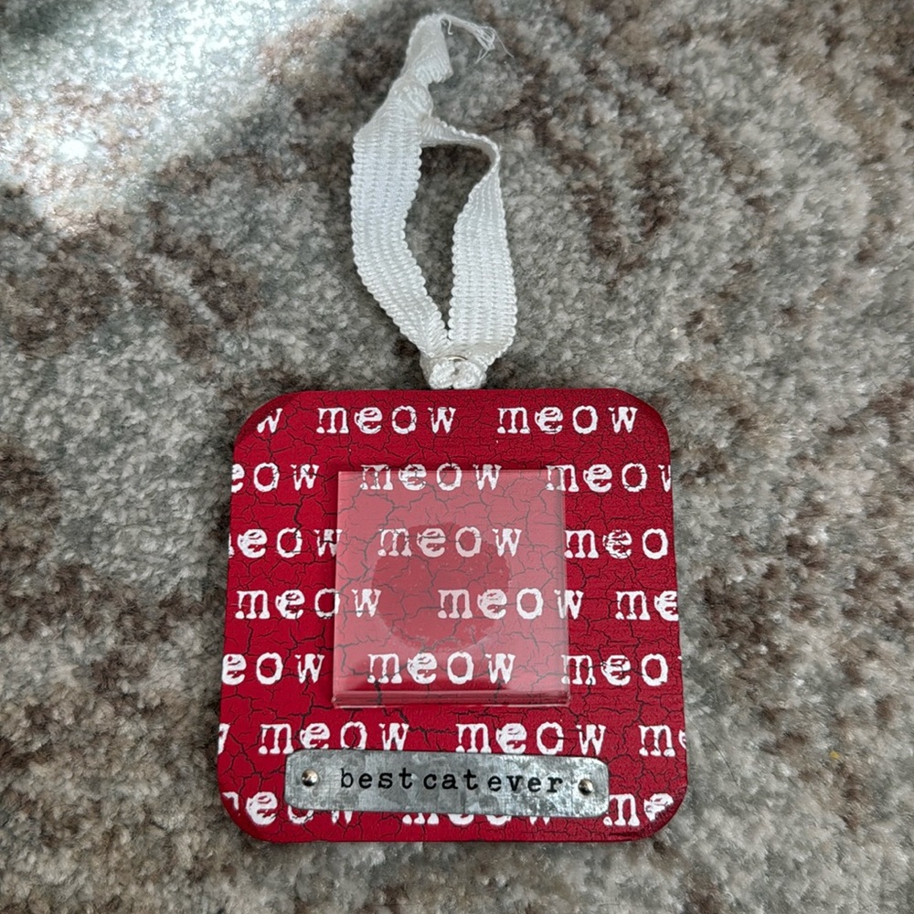 Mud Pie wooden Christmas best cat ever photo frame ornament with metal detail